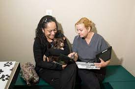 Comfort around all types of animals required. All Pets Clinic 1139 E Silver Springs Blvd Ocala Fl Veterinarians Mapquest