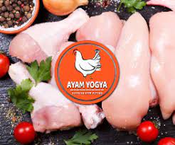 Harga dada ayam di jogja. Harga Daging Ayam Broiler Di Jogja Ayam Yogya