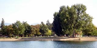 Kelowna residents concerned about ongoing alleged underage beach parties. Beaches Adventure Kelowna
