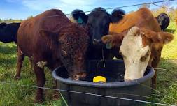 Livestock Water System Workshop
