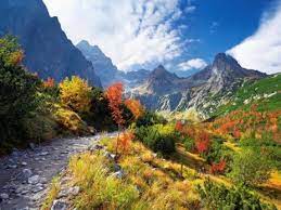 Puur en dicht bij de natuur. Tatragebergte In Polen En Slowakije Natuur Tatra Bergen Prachtige Landschappen Mooie Plaatsen Berg Fotografie