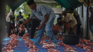 Menyembelih hewan qurban harus memenuhi beberapa tahapan yang sesuai dengan aturan khusus. Pemerintah Larang Bagikan Daging Kurban Pakai Kupon Ini Cara Yang Direkomendasikan Tribunnews Com Mobile