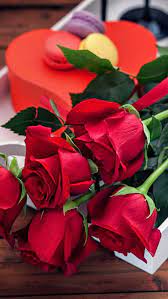 Wallpaper Iphone Rose Flower Delivery Flowers Online Flower Delivery