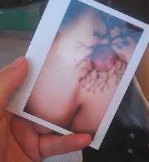 Sul culo grosso e altre amenità - Violeta Benini | Divulgatrice