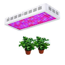 Compare prices & read reviews. Indoor Hydroponic Led Grow 2000w Cheap Led Grow Lights With Full Spectrum Buy Led Grow 2000w Hydroponic Cheap Led Grow Lights Product On Alibaba Com
