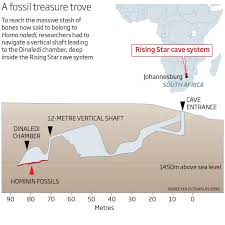 Homo naledi may have lived at the same time as the first modern humans. Homo Naledi Homonaledis Twitter