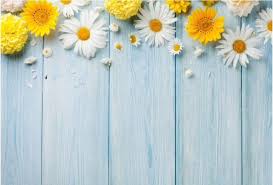 Daisy Flower Wooden Board Backdrop Perfect For Your Cake Craft And Other Photo Shooting Latar Belakang Pemandangan Wallpaper Ponsel