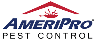 The experienced pest control technicians at our company know what to look for when it comes to investigating different nuisance insects and eliminating them from your home. Ameripro Pest Control Jacksonville Fl