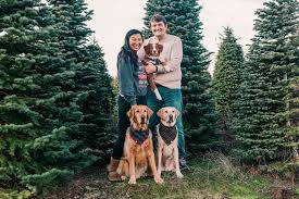 Animal Matchmakers: Couples Who Met Through Their Dogs