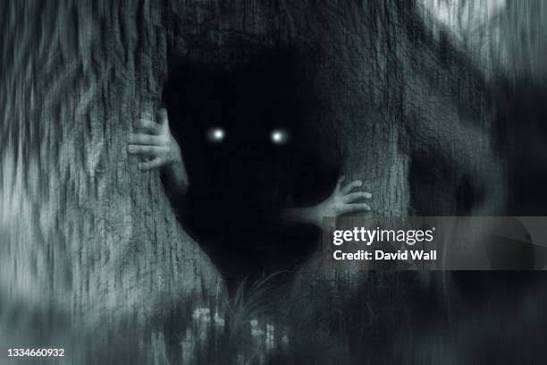 145 Glowing Eyes In Dark Stock Photos and High-Res Images - Getty Images