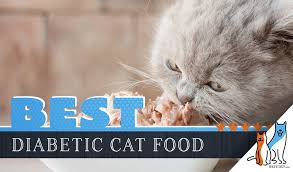 7 Best Diabetic Cat Foods Our 2019 Guide To Feeding A