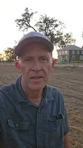 Successful Bee Rescue: Safe Relocation of Bees