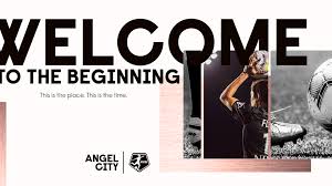 Vcs Celebrities And Athletes Are Writing A New La Story To Bring Women S Soccer To The City Internet Technology News
