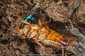Check spelling or type a new query. Nature In Stock