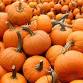 Pumpkins & Pilates at Cedar Hill Farm event image