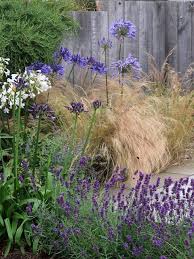 Jo Gardens Is An Award Winning Garden Design Business Falmouth Truro Cornwall Traditional Contemporary And Su Cornwall Garden Garden Design Landscape Plans