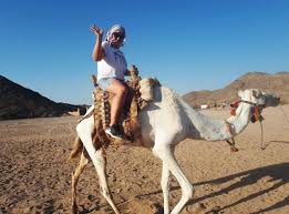 Check out our riding camel selection for the very best in unique or custom, handmade pieces from our shops. Desert Safari An Unforgettable Trip In The Hurghada Desert Natania Travel
