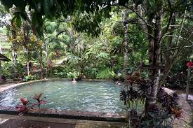We did not find results for: Menikmati Berkah Air Panas Dan Eksotisnya Hutan Gunung Batukaru Mongabay Co Id Mongabay Co Id