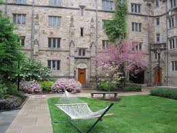 The university is organized into 14 schools: Yale University Campus New Haven School Campus University Campus College Campus