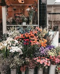 Almost Too Pretty To Shop Almost Shop Now At Yumikim Com A Little Flowershop Fantasy Courtesy Of Gift Flower Aesthetic Beautiful Flowers Pretty Plants