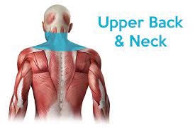 The latissimus dorsi is the wide muscle of the back and lateral trunk. Upper Back Pain What S Causing The Top Of My Spine To Hurt