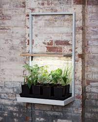 Coltura Led Grow Frame Herb Garden In Kitchen Grow Lights Led Grow Lights