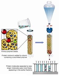 Sr30 3.2 dimensions of sr30 4 standards and recommended practices for use 4.1 classification standards 4.2 general use for solar radiation measurement 4. The Importance Of Size Exclusion Characteristics Of Type I Collagen In Bonding To Dentin Matrices Abstract Europe Pmc