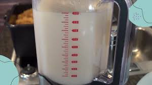 Wildcrafted Sea Moss Gel Starter Kit with WholyWater Soursop Tea