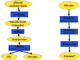 Image result for Quassia undulata