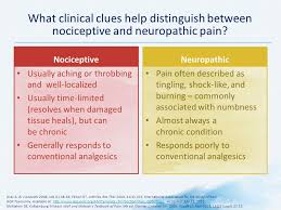 Frequently Asked Questions Ppt Download