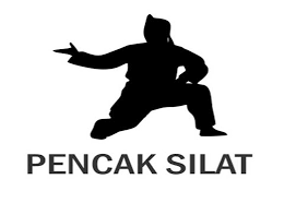 Hasil gambar untuk gambar pencak silat