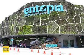 Family packages, monthly packages are also available. Entopia Penang Butterfly Farm