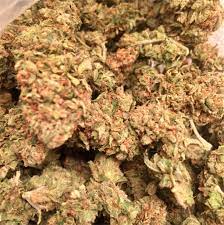 Great for heavy pain relief without the grogginess or fog of many pain medicines. Face Off Og Aka Faceoff Og Kush Marijuana Strain Information Leafly