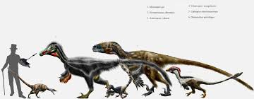Evolvosaur November 2015