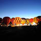 Fields of Flight - Friday EVENING ONLY