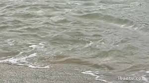 Gambar animasi air laut atau ombak gambar animasi gif gambar animasi pemandangan alam bergerak indah menikmati keindahan alam dapat membangkitkan kembali semangat dan menyegarkan pikiran dinginnya udara sejuk pegunungan atau hembusan angin di sepanjang tepian danau yang tenang di dalam hutan rindang yang perpayung daun teduh membuat suasana. Ombak Video Download Free Pikbest