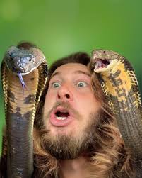 Owl Breakdance! #snakes #reptiles #wildlife #wildanimals #reptileslover