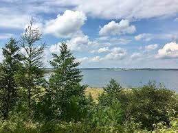 Fahrradtour Durch Das Lausitzer Seenland Vom Bergmann Zum Seemann In 2020 Fahrradtour See Urlaub