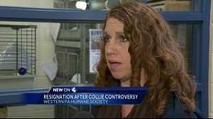 Humane Society director steps down after 'collie controversy'
