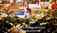 Check spelling or type a new query. Not In Kansas Anymore Gifs Get The Best Gif On Giphy
