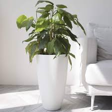 Rated 0 out of 5 stars based on 0 reviews. Amazon Com Tall Planters Outdoor Indoor 20 Inch Modern White Flower Pots With Drainage Holes For Balcony Garden Patio Deck Pack 1 Home Kitchen