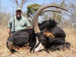 Africa Big Game Hunting Trip Some Day Big Game Hunting Hunting Trip Hunting