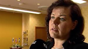 Holmlund: Lisää väkeä lupahallintoon