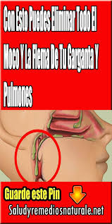Con Esto Puedes Eliminar Todo El Moco Y La Flema De Tu Garganta Y Pulmones Salud Remedio Infographic Health Health Info Health Tips