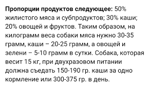 pin na doske dlya sobaki