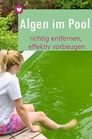 Zwar kein hausmittel bei algen im pool, aber etwas wirksam ist die reinigung. Algen Im Pool Richtig Entfernen Langfristig Vorbeugen Algen Im Pool Pool Grun Pool