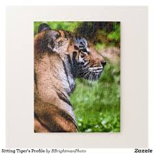 Pin On Lion Tiger Other Big Cat Themed Jigsaw Puzzles