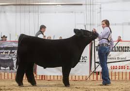 Happy Birthday, Maddie!