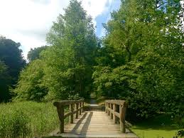 De stad brussel heeft verschillende beslissingen genomen om de maatregelen van de federale regering. World Environment Day What S Your Favorite Nature Spot In Brussels Brussels Express