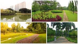 Wisata unta tunggang di taman satwa taru jurug surakarta (dok. Nongkrong Asyik Di Taman Cattleya Tomang Jakarta Barat Yang Kece Abis